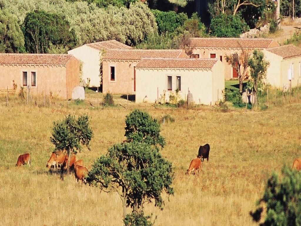 B&B Pubulos Olbia Exterior foto